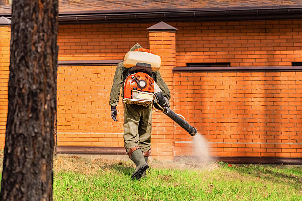 Trusted Ant Control service in Bowling Green, FL - Nex Pest Control